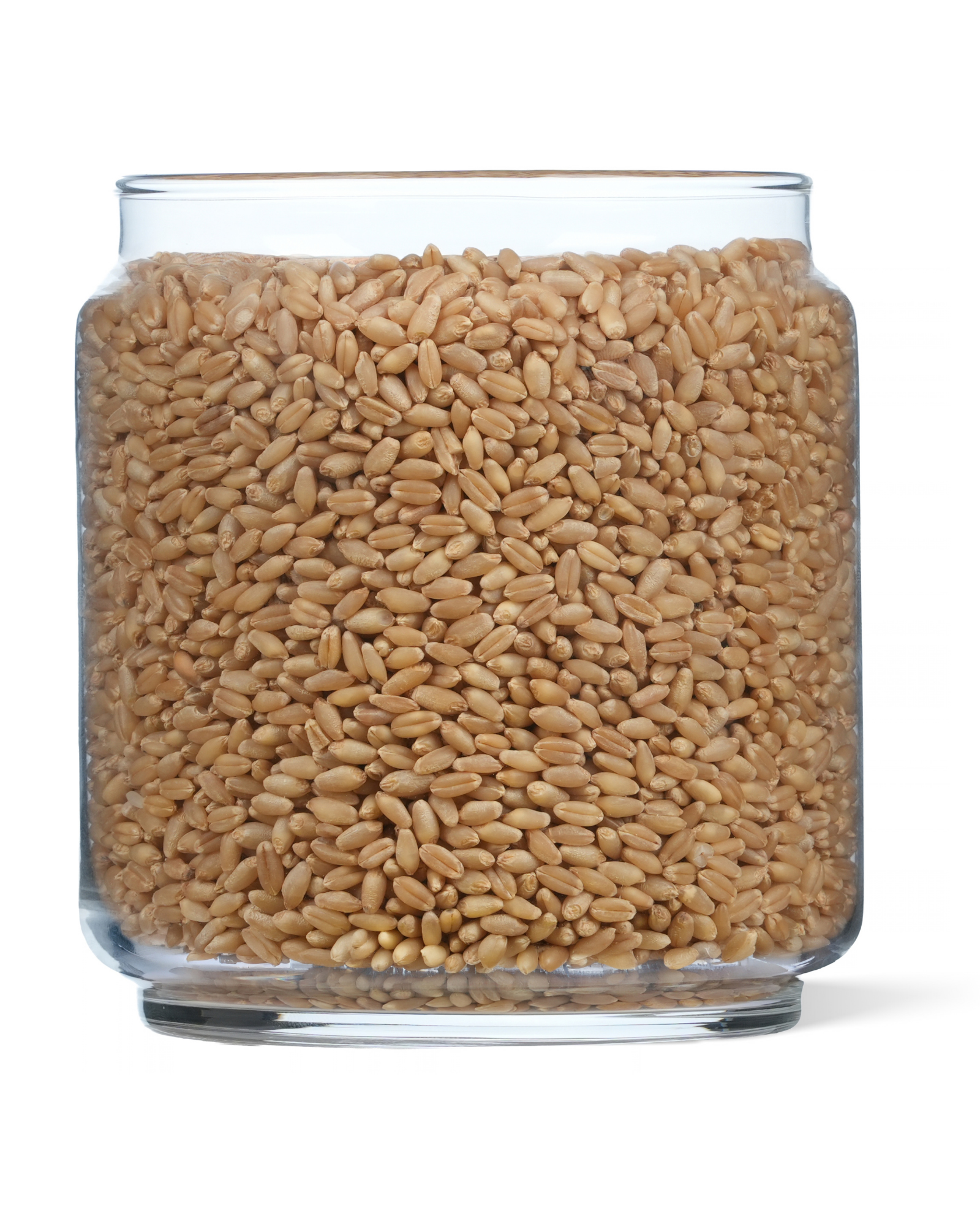 Sharbati Wheat Flour